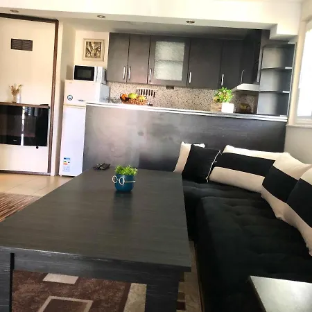 Pavlovi アパート サモコフ